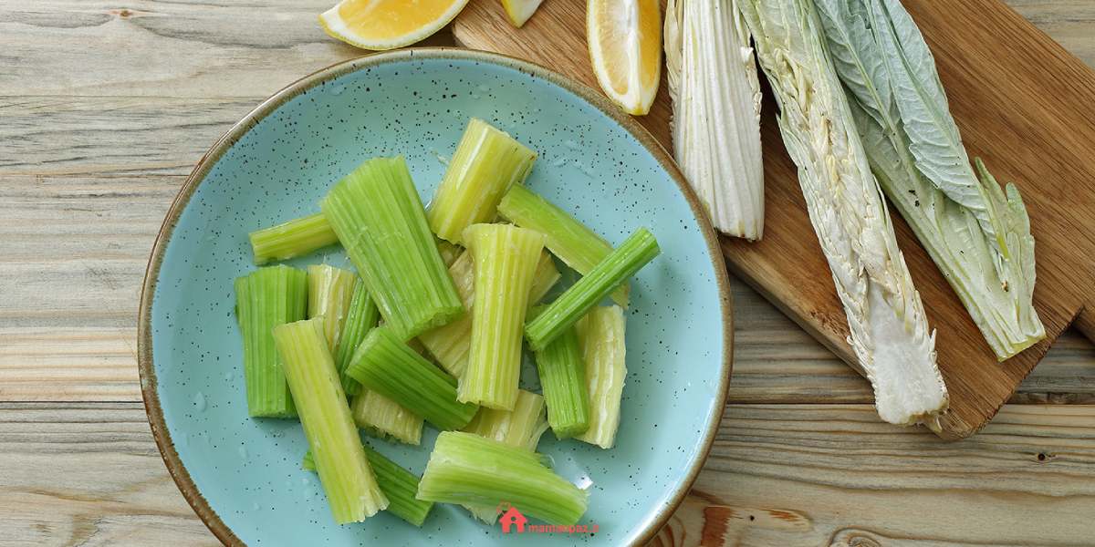 کنگر یک گیاه مغذی