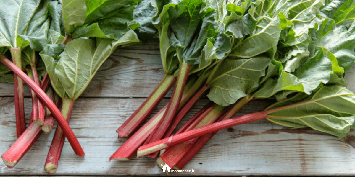 فواید ریواس