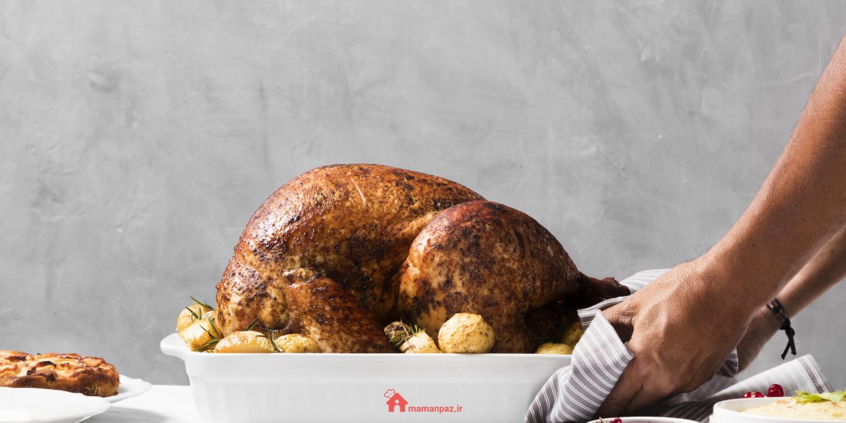 بوقلمون شکم پر